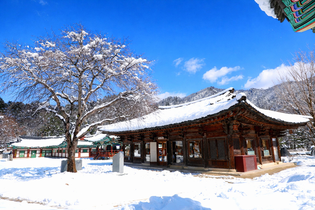[오늘의 날씨] 강원(6일, 금)…지역 곳곳 눈·비, 해상 사고 주의