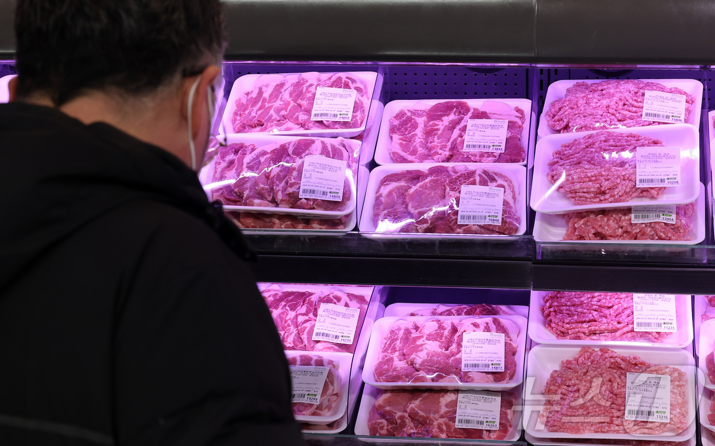 (서울=뉴스1) 김성진 기자 = 돼지고기와 한우, 닭고기 가격이 모두 1년 전보다 10% 넘게 오르면서 축산물 가격이 전반적으로 상승세를 보이고 있다.5일 축산물품질평가원의 품목별 …