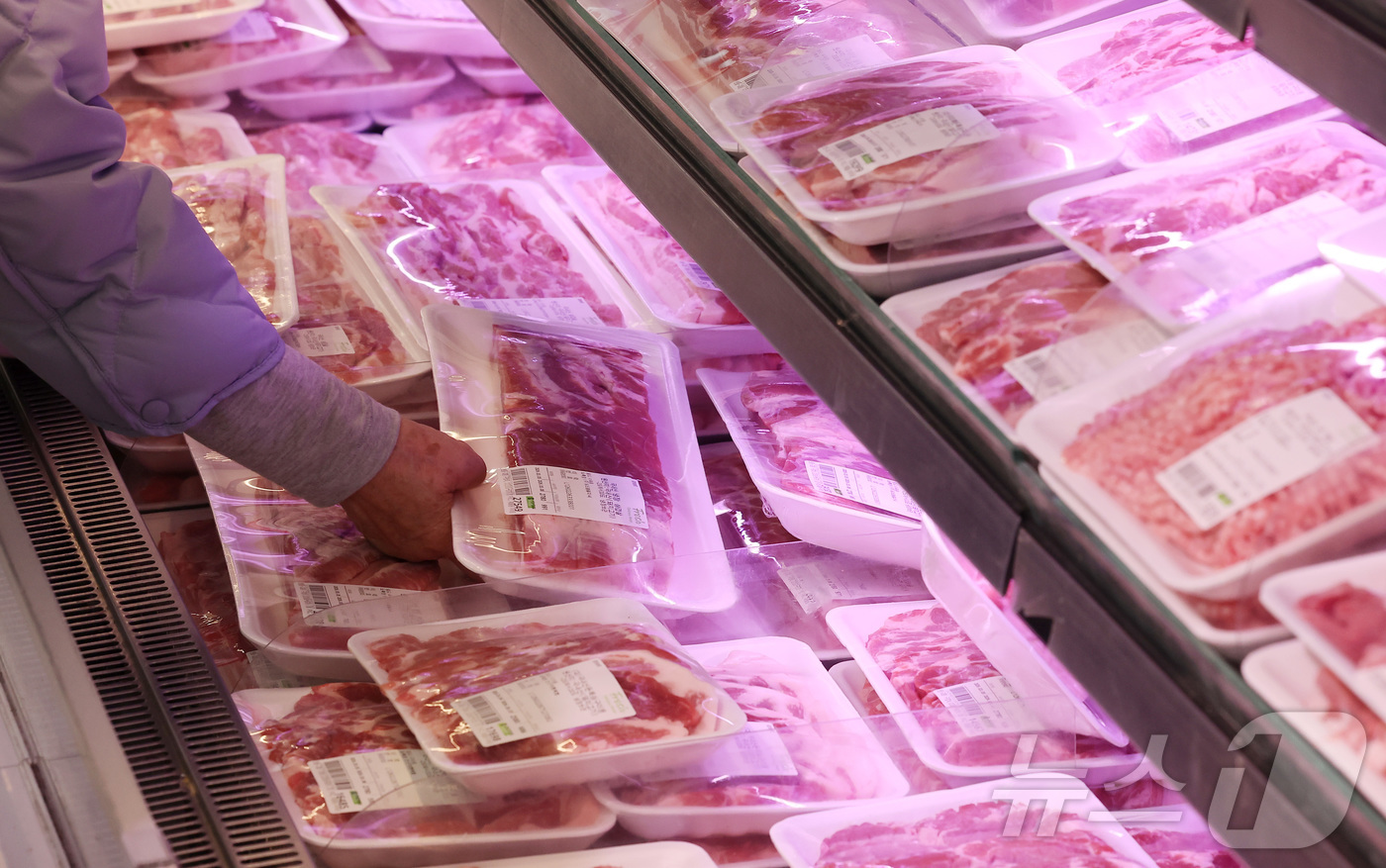 (서울=뉴스1) 김성진 기자 = 돼지고기와 한우, 닭고기 가격이 모두 1년 전보다 10% 넘게 오르면서 축산물 가격이 전반적으로 상승세를 보이고 있다.5일 축산물품질평가원의 품목별 …