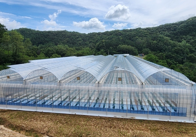 진안군, 지역특화 품목 '비닐하우스 지원사업' 대상자 확정