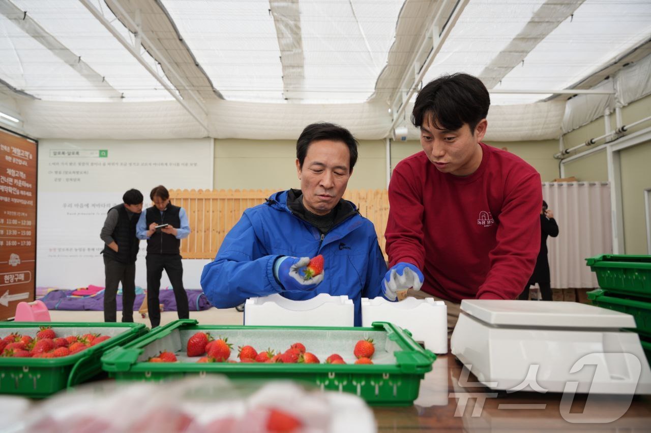 (춘천=뉴스1) 이종재 기자 = 우상호 전 청와대 정무수석이 5일 6·3 지방선거 강원도지사 선거 예비후보로 등록한 후 첫 행보로 춘천의 한 딸기농장에서 청년들과 간담회를 가졌다. …