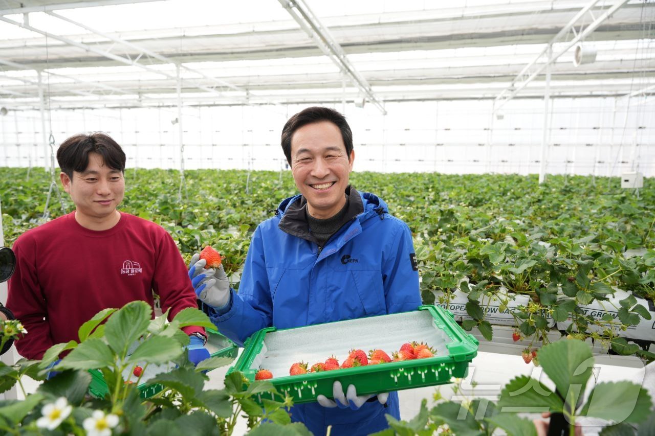 (춘천=뉴스1) 이종재 기자 = 우상호 전 청와대 정무수석이 5일 6·3 지방선거 강원도지사 선거 예비후보로 등록한 후 첫 행보로 춘천의 한 딸기농장에서 청년들과 간담회를 가졌다. …