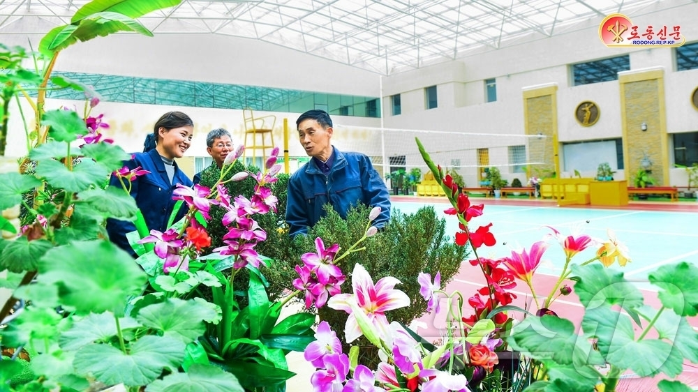 (평양 노동신문=뉴스1) = 북한 노동당 기관지 노동신문은 6일 평양강냉이(옥수수)가공공장에서 "애국의 마음 안고 자기 일터를 더 아름답게 꾸려나가고 있다"고 선전했다.[국내에서만 …