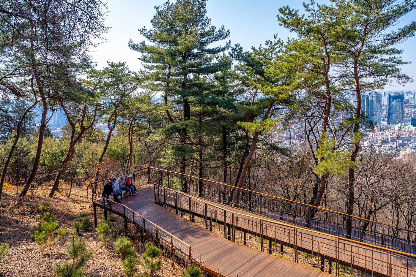 본문 이미지 - 데크를 놓아 무장애길로 조성된 남산하늘숲길(서울관광재단 제공)