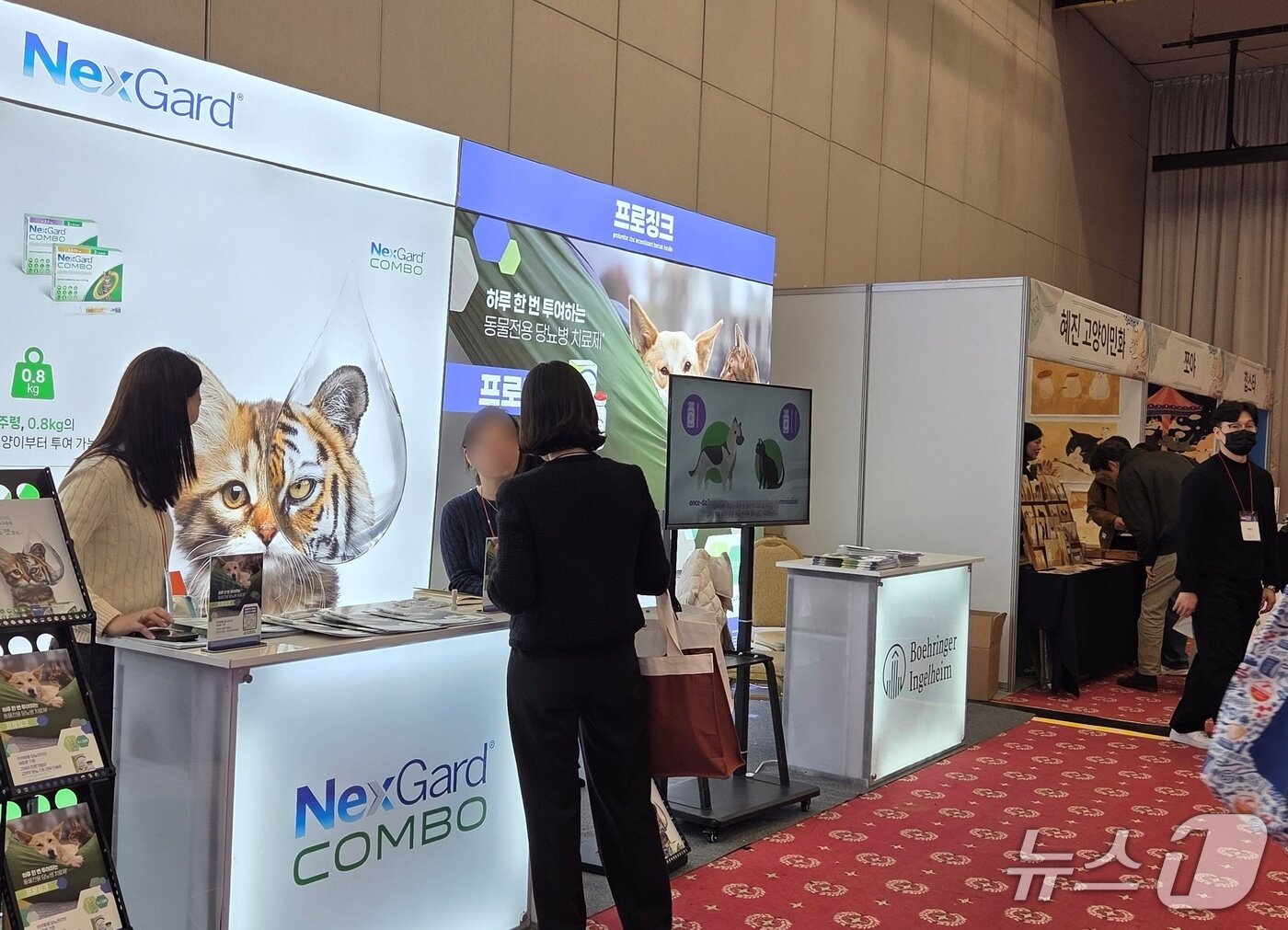 본문 이미지 - 한국고양이수의사회는 서울 세종대에서 KSFM 컨퍼런스를 열었다. 한국베링거인겔하임동물약품 부스. ⓒ 뉴스1