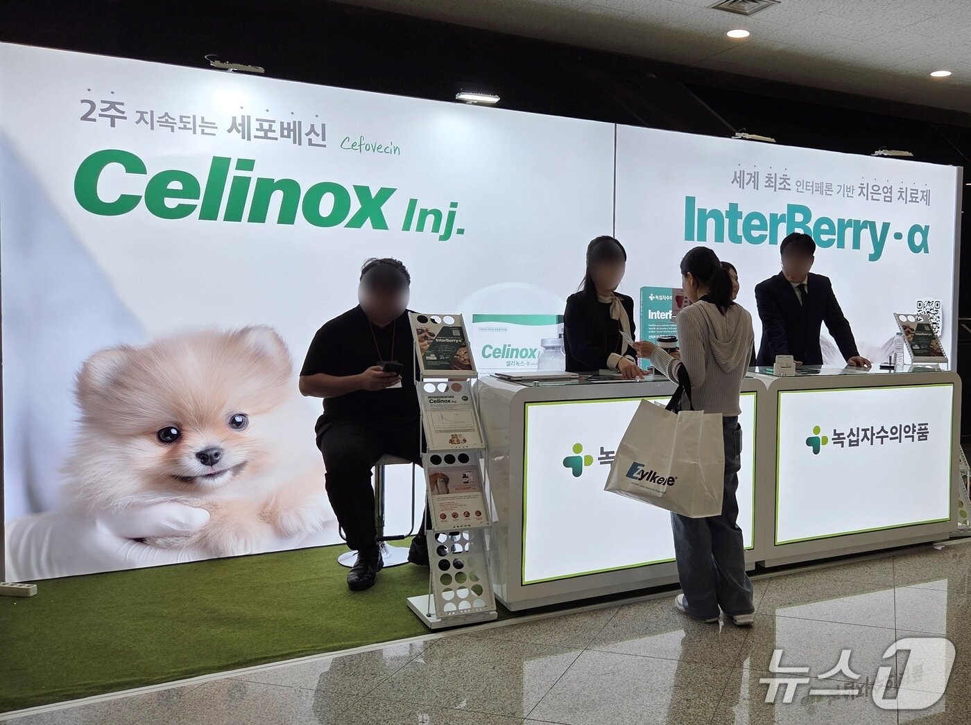본문 이미지 - 한국고양이수의사회는 서울 세종대에서 KSFM 컨퍼런스를 열었다. 녹십자수의약품 부스. ⓒ 뉴스1