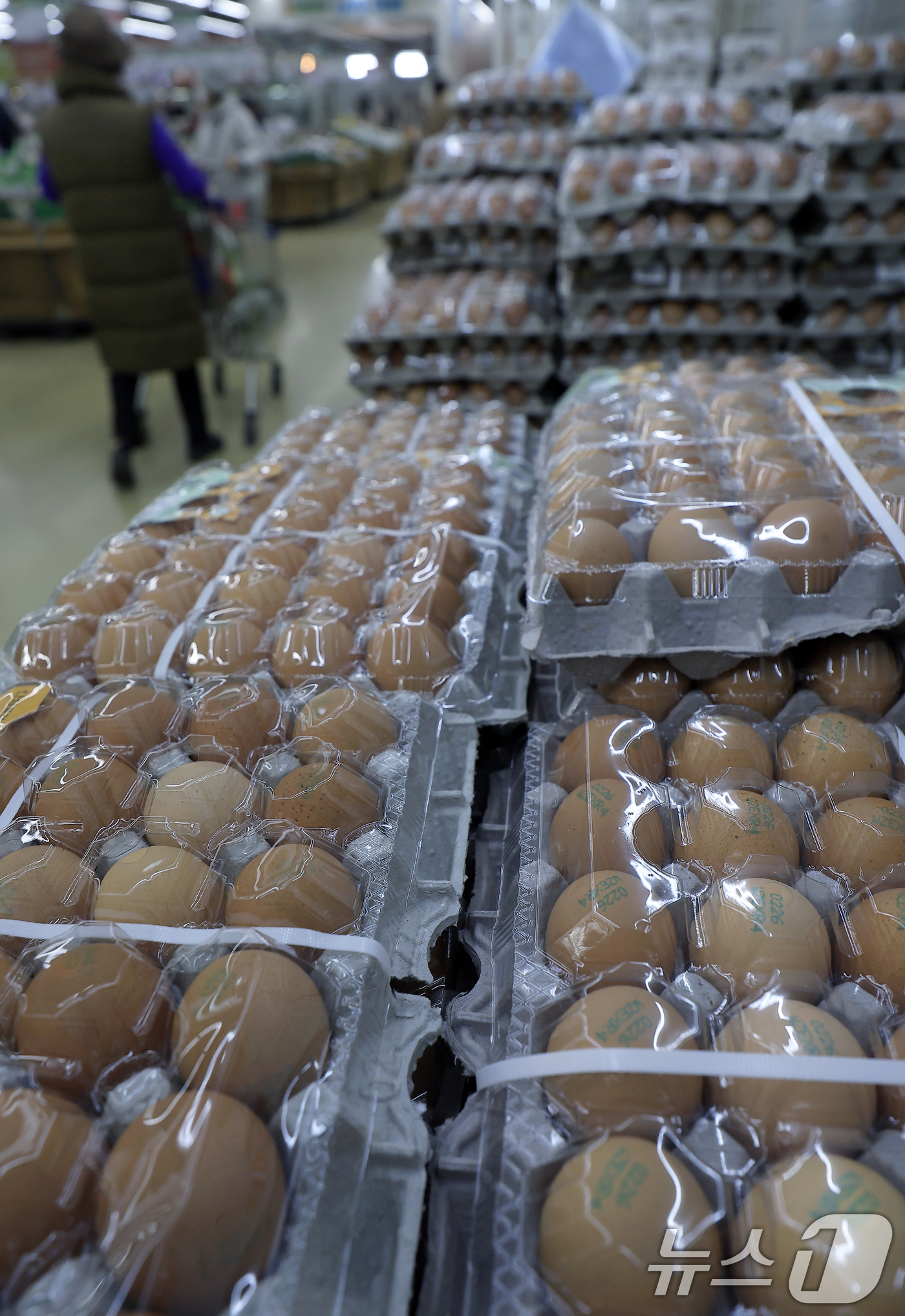 (서울=뉴스1) 박정호 기자 = 지난달 소비자물가 상승률이 전월과 같은 2.0%를 기록하며 6개월 연속 정부의 물가 관리 목표 수준(2.0%)을 유지한 것으로 발표된 6일 서울의 …