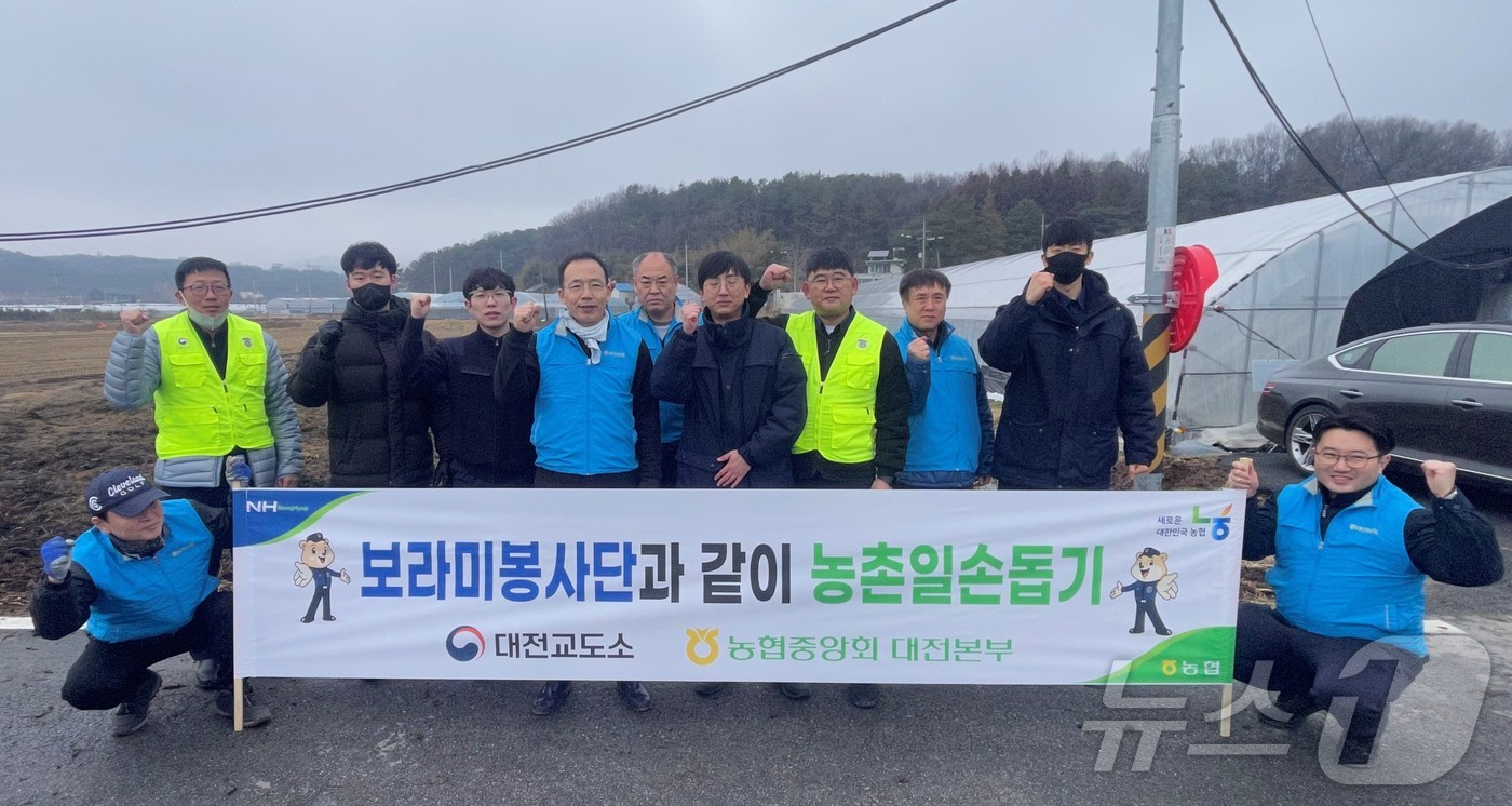 농협대전본부, 보라미봉사단과 같이 농촌일손돕기에 구슬땀 - 뉴스 썸네일 이미지