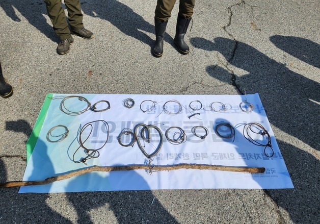 설악산 야생동물 노린 덫 17점 수거…불법 엽구 서리 횡행