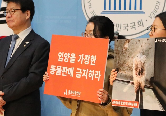 "동물 보호한다더니 돈 장사"…신종 펫숍 피해 국회서 폭로