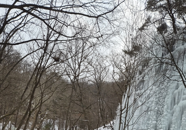 겨울 관광 명소 '춘천 구곡폭포' 올해 관광객 전년보다 77.2% 급증