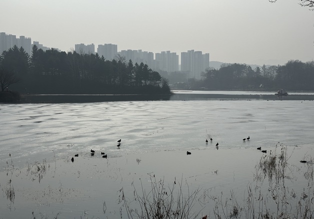 [오늘의 날씨] 충북·세종(7일, 토)…바람 불고 반짝 추위