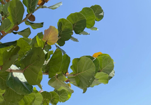 '5월 결혼' 신지, 베트남 수영장서 군살 제로 몸매 과시 [N샷]