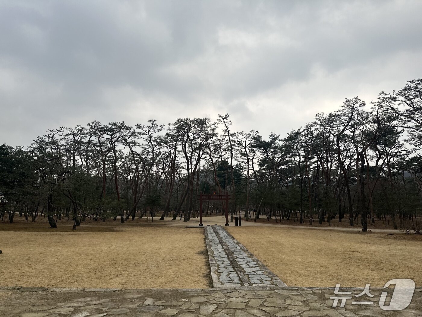 본문 이미지 - 경기 남양주시 사릉. 2026.3.6 ⓒ News1 이상휼 기자