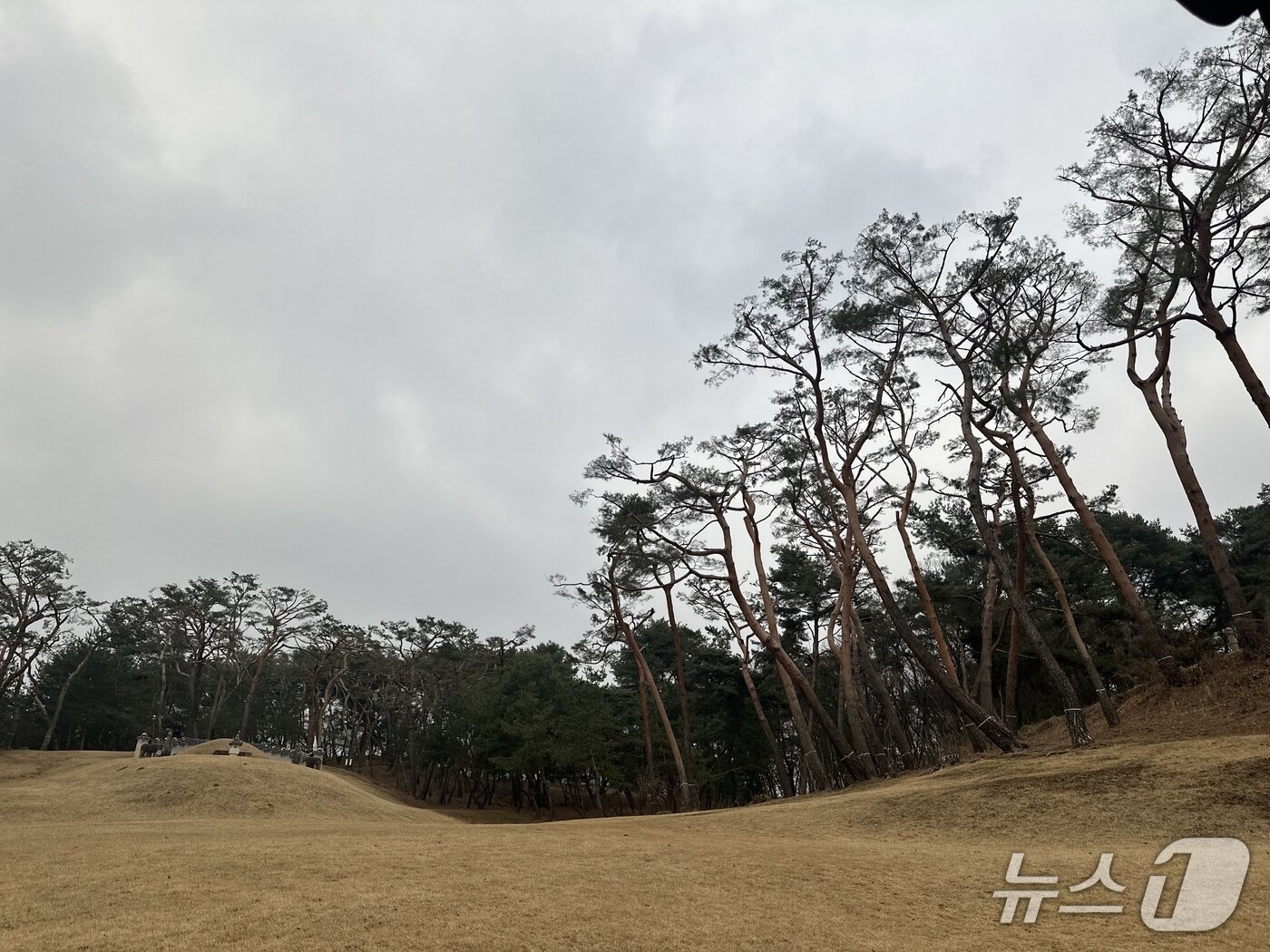 본문 이미지 - 경기 남양주시 사릉. 2026.3.6 ⓒ News1 이상휼 기자
