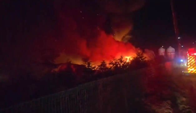 정읍 돈사서 불…돼지 900여 마리 폐사