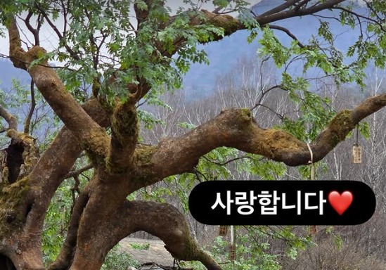 "사랑합니다" 박지훈, '왕사남' 천만 영화 등극에 감사 인사