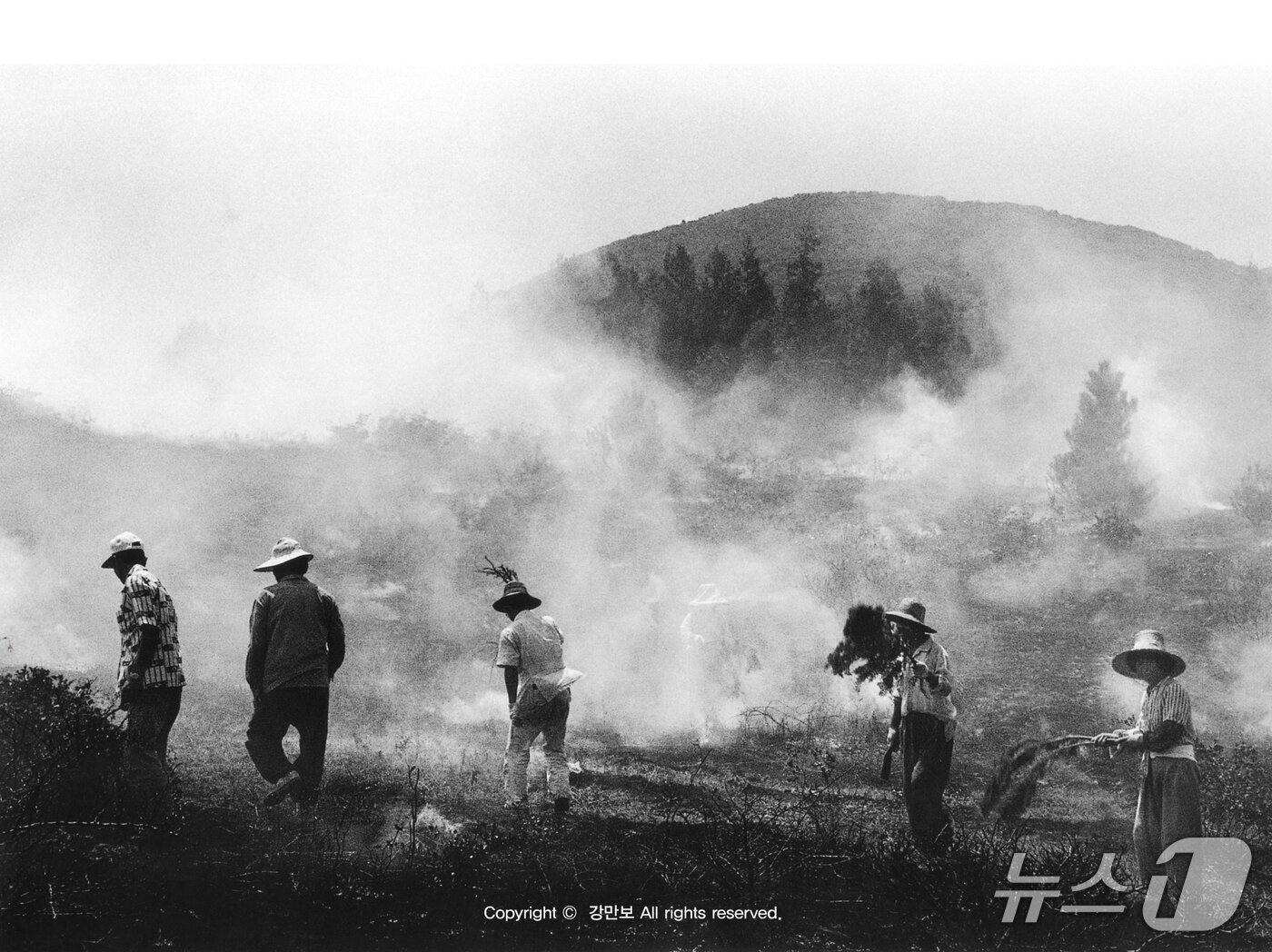 본문 이미지 - 옛 제주 사람들은 봄이 올 무렵이면 해묵은 풀과 해로운 벌레를 없애기 위해 들판에 부러 불을 놓고는 했다. 사진은 1986년 제주의 한 들판에 놓은 불이 나무에 붙지 않도록 잔불을 끄고 있는 사람들의 모습.(제주학연구센터 제공, 재판매 및 DB 금지)