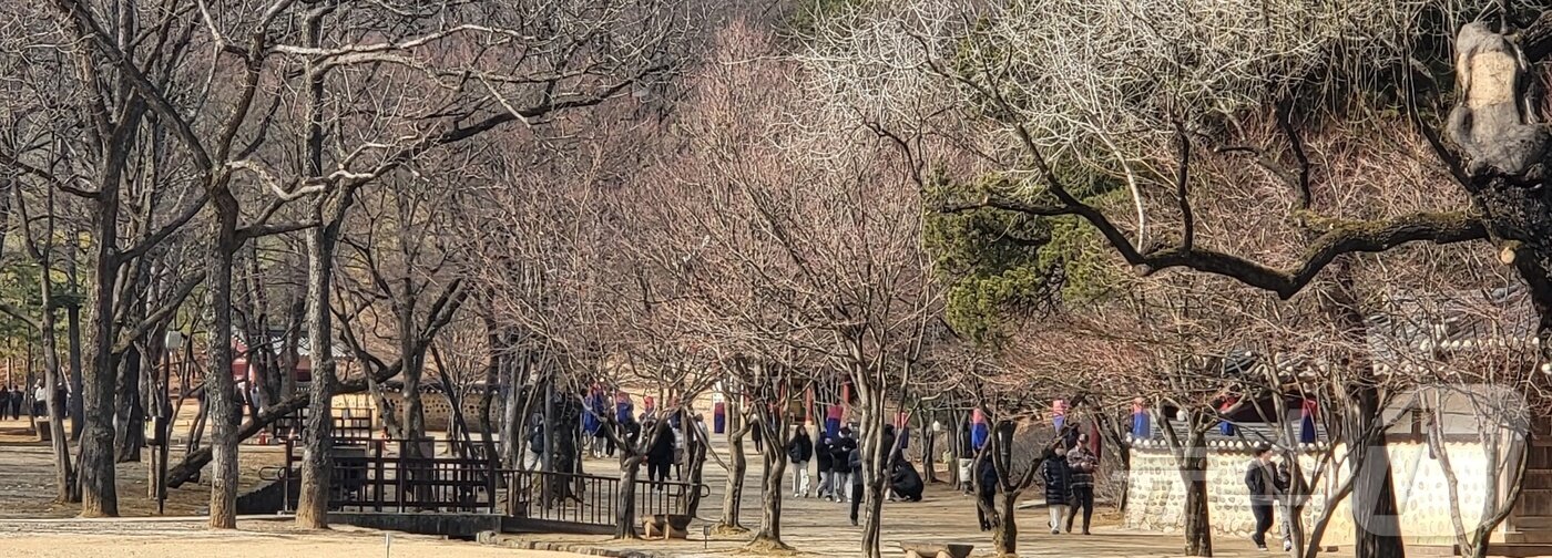 본문 이미지 - 7일 낮 강원 영월군 장릉에 여행객들이 몰려들고 있다. 조선 6대 임금 단종을 다룬 영화 '왕과 사는 남자'(왕사남)가 누적 1000만여 관람객을 기록하며 흥행하자, 단종 유배지였던 청령포를 비롯해 단종의 능인 유네스코 세계유산 장릉도 인기를 누리고 있다. ⓒ 뉴스1 신관호 기자