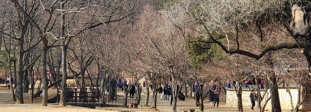 "단종의 능 장릉입니다"… 왕사남 보고, 유네스코 세계유산도 보고