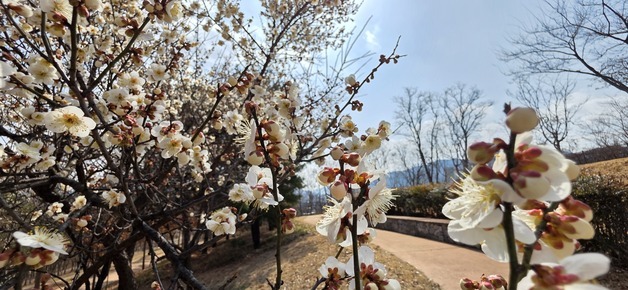 [오늘의 날씨]대구·경북(8일,일)…아침 최저 -8~1도, 기온차 15도 안팎