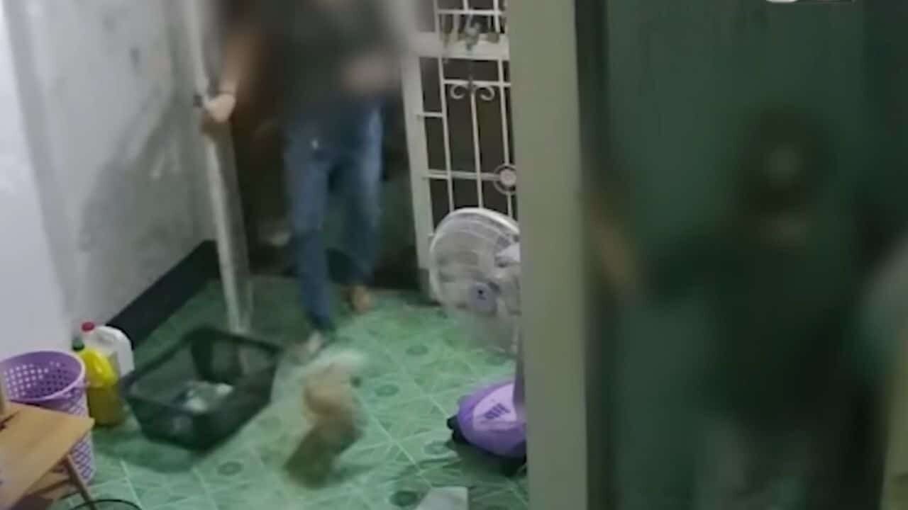 본문 이미지 - (태국 더 타이거 갈무리)