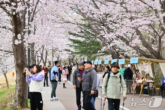 속초시, '2026 영랑호 벚꽃축제' 판매부스 사업자 모집