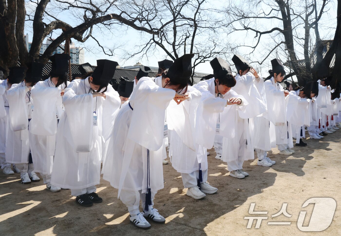 본문 이미지 - 8일 오전 서울 종로구 성균관 문묘에서 열린 2026신방례(신입생 환영회)에서 유생 의복을 입은 성균관대학교 신입생들이 재학생들과 인사를 나누는 상읍례를 하고 있다. 신방례는 조선시대 과거에 합격한 유생들을 위한 환영식이자 선배들이 신입 유생을 맞이하는 일종의 통과의례이다. 2026.3.8 ⓒ 뉴스1 이광호 기자