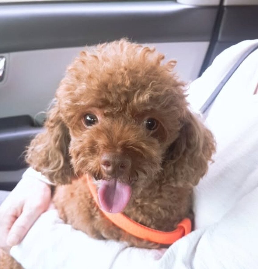 본문 이미지 - 이주승 인스타그램