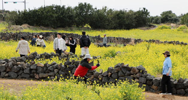[오늘의 날씨] 제주(11일, 수)…일교차 9도 안팎