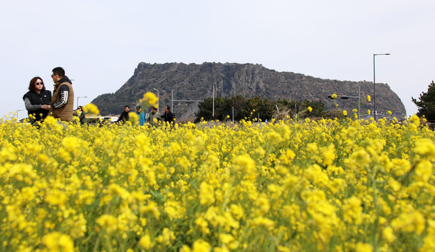 [오늘의 날씨] 제주(10일, 화)…아침 기온 1~4도