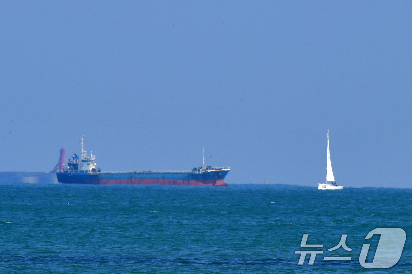 (포항=뉴스1) 최창호 기자 = 8일 오후 경북 포항시 송도해수욕장 앞 바다에서 요트 한 척이 대형 화물선 앞을 지나가고 있다.  2026.3.8/뉴스1