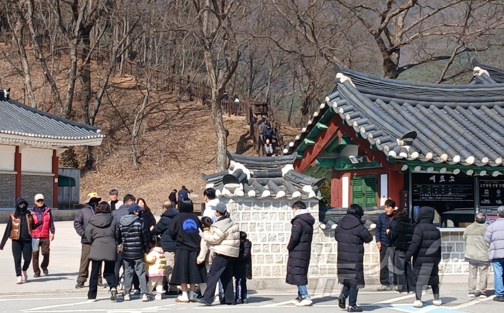 (영월=뉴스1) 신관호 기자 = 8일 강원 영월군 장릉에 여행객들이 몰려들고 있다. 조선 6대 임금 단종을 다룬 영화 \'왕과 사는 남자\'(왕사남)가 흥행하자, 단종 유배지였던 …