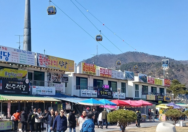 강원 4대 국립공원 1만명 육박…원주·정선 케이블카도 인기