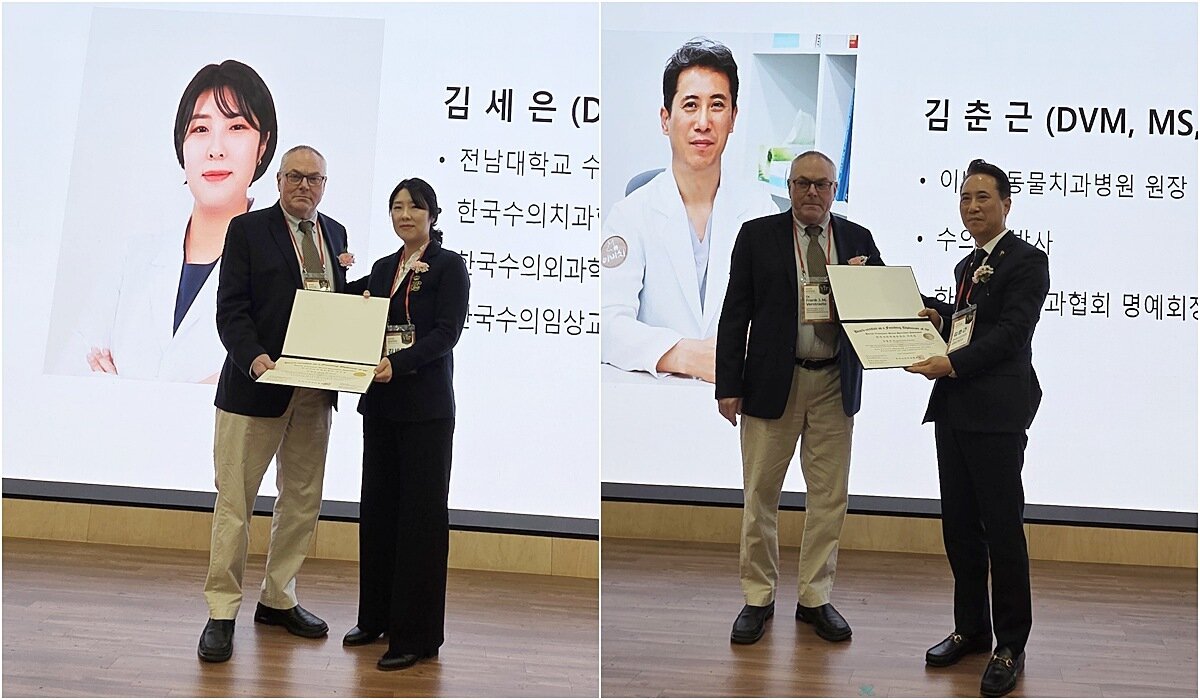 본문 이미지 - 김세은 전남대학교 수의과대학 수의외과학 부교수(왼쪽)와 김춘근 이비치동물치과병원 원장이 한국수의치과 설립전문의에 선정돼 자격증을 수여받았다. ⓒ 뉴스1 한송아 기자