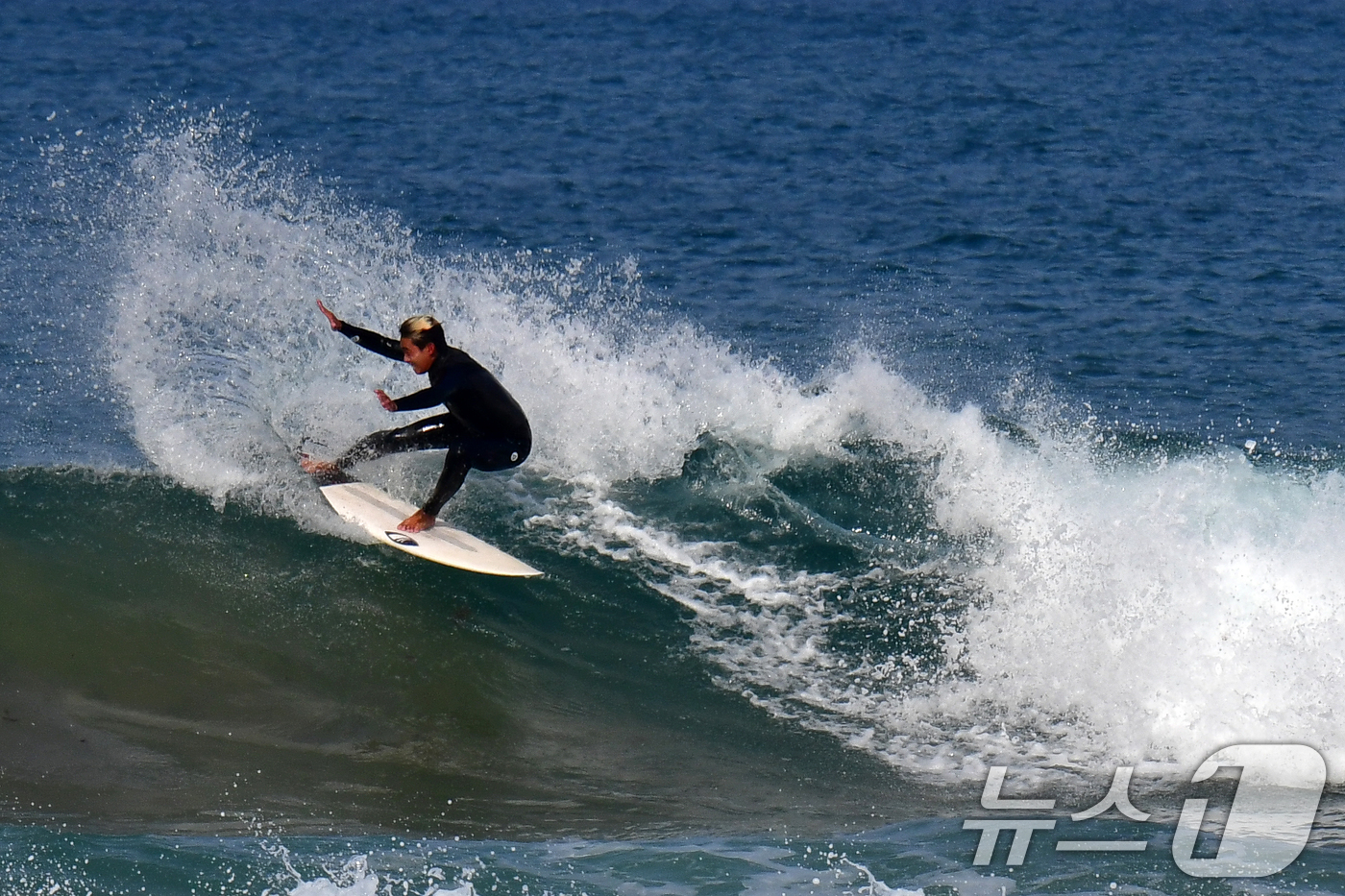 (포항=뉴스1) 최창호 기자 = 8일 경북 포항시 북구 흥해읍 용한리 해수욕장에서 서퍼들이 봄 파도를 타고 있다. 2026.3.8/뉴스1