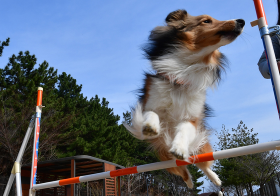 [오늘의 날씨]대구·경북(9일, 월)…아침 영하권, 낮 8도 안팎