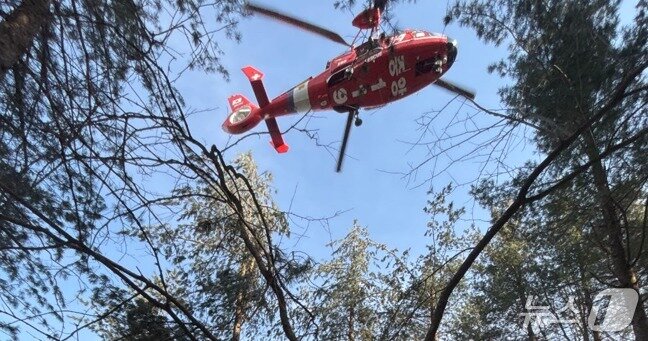 본문 이미지 - 8일 오후 강원 인제군 상남면의 한 야산에서 벌목작업자인 남성 C 씨(66)가 사고를 당해 심정지 상태를 보이는 등 헬기를 통해 병원으로 옮겨졌다. (강원도소방본부 제공. 재판매 및 DB금지) 2026.3.8/뉴스1