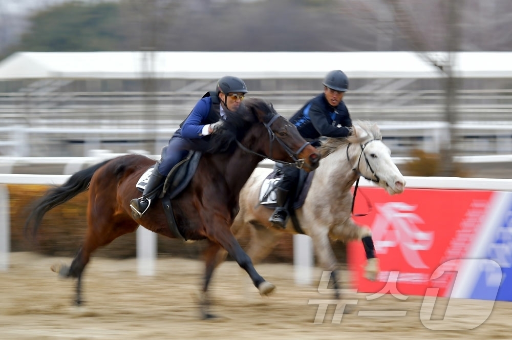 (평양 노동신문=뉴스1) = 북한 노동당 기관지 노동신문은 "3·8 국제부녀절 기념 전국 도 대항 승마경기가 수도 평양의 미림승마구락부(클럽)에서 진행됐다"고 보도했다.[국내에서만 …
