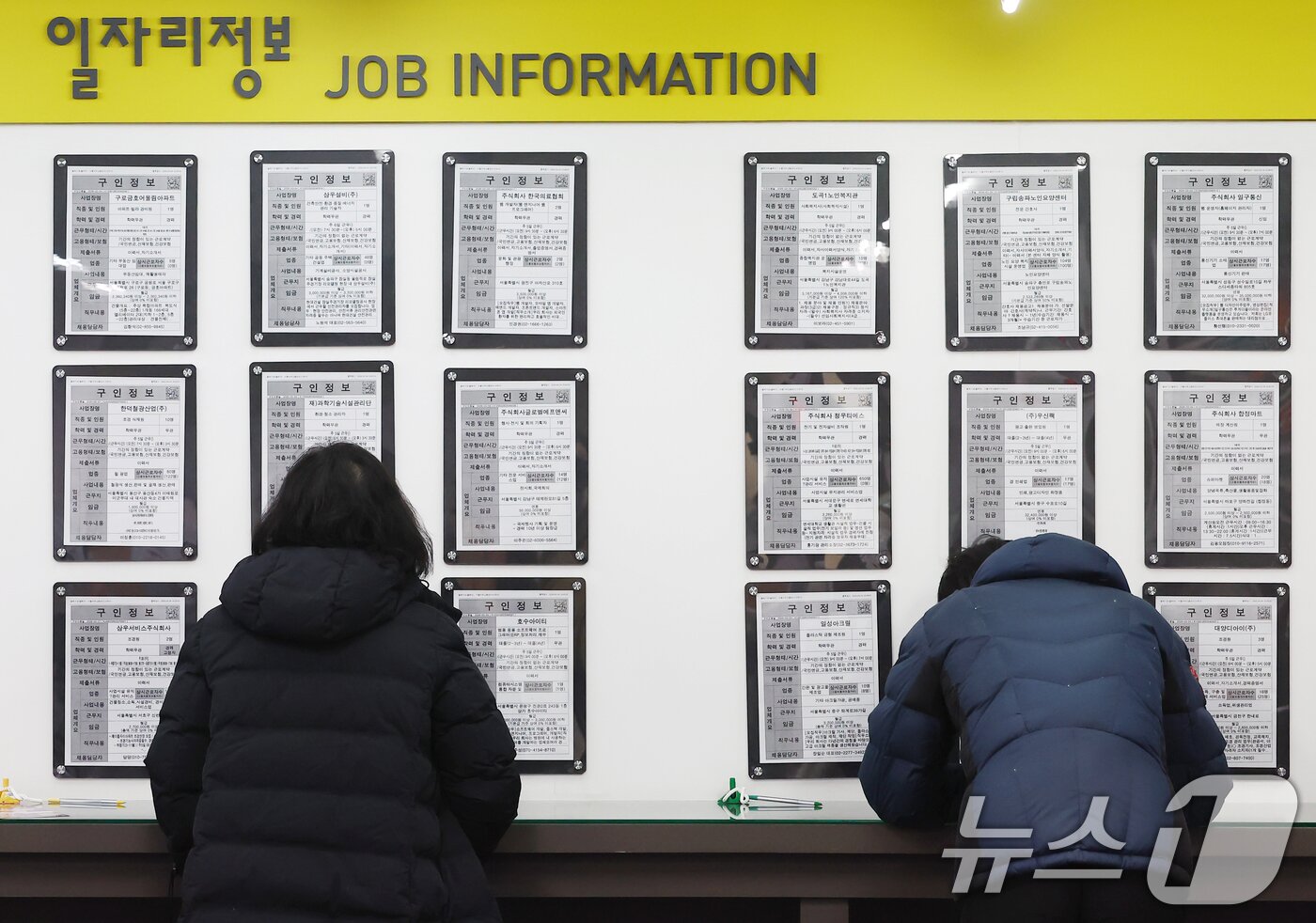 본문 이미지 - 9일 오후 서울 마포구 서울서부고용복지플러스센터에서 구직자가 일자리정보를 보는 모습. 2026.3.9 ⓒ 뉴스1 김민지 기자