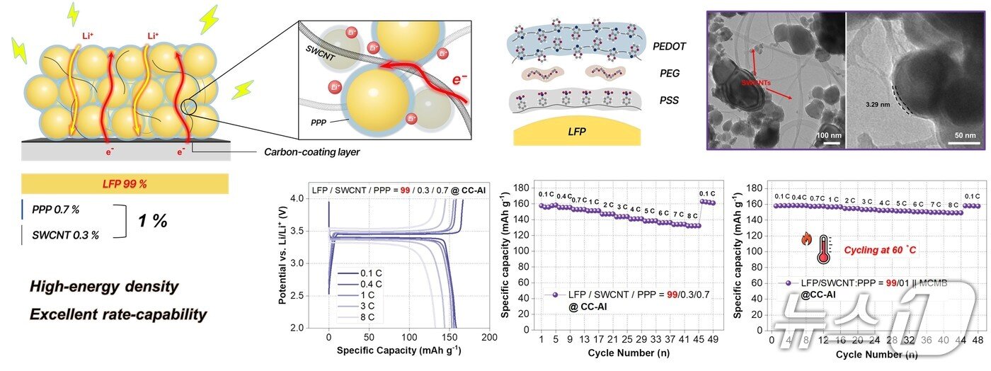 본문 이미지 - 활성물질 함량 99%인 LFP 전극의 구조와 성능.(UNIST 제공. 재판매 및 DB금지)/뉴스1