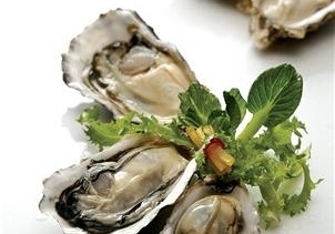 수과원 "봄 굴이 겨울 굴보다 더 크고 맛있어"