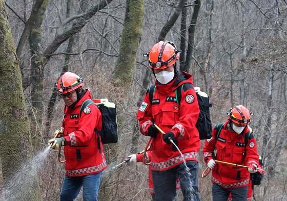 건조한 봄철 산불예방
