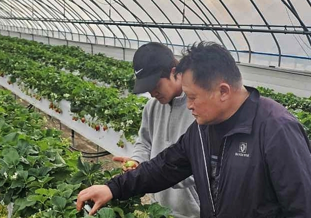 비닐하우스 난방비 폭등…유가 급등에 시름 깊어진 시설농가