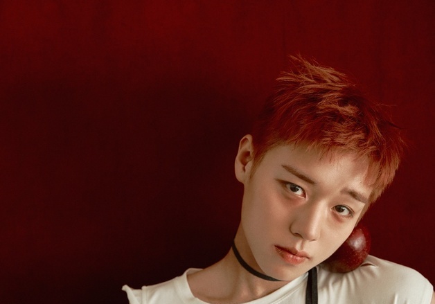 박지훈, 눈빛만으로 완성한 이야기…새 싱글 포토 공개