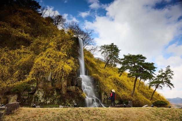 '화순 봄꽃축제' 17일 개막…열흘간 풍성한 봄날 선사