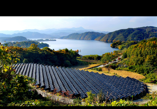 장수·유대의 상징 '인삼문화', 유네스코 인류무형유산 등재 도전
