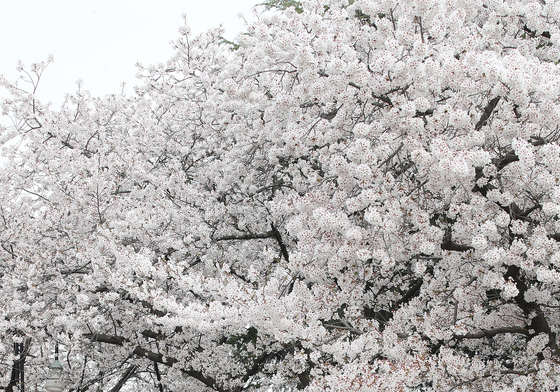 6·3 지방선거 "꼭 투표하세요"