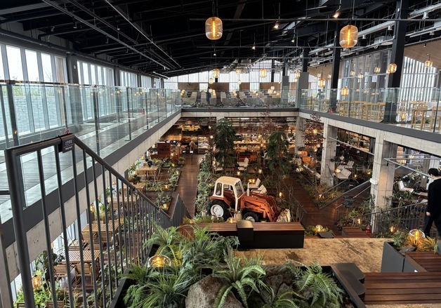 제주대동, 내년 하반기 '팜타운 복합상업시설' 오픈