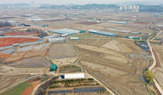 상속·고령농 농지 일괄처분 안한다…'관행 임대차'도 조건부 처분유예